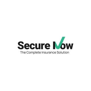 Secure Now logo
